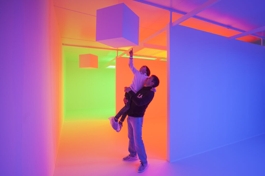 Installation view: Carlos Cruz-Diez. Chromosaturation