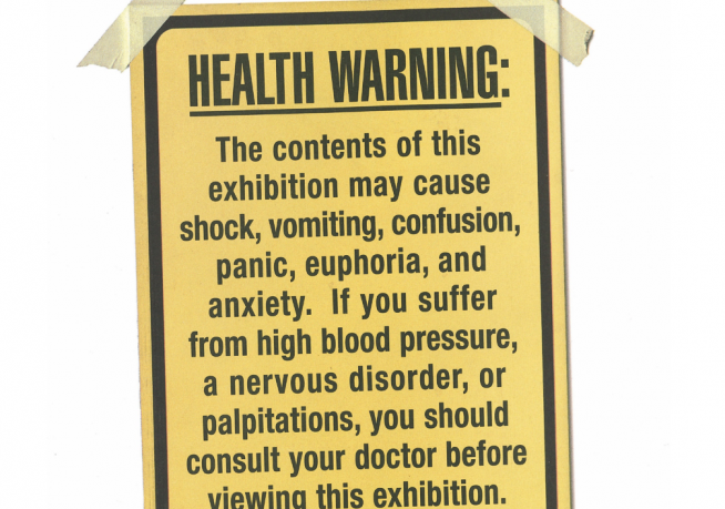 SENSATION: The Madonna, The Mayor, The Media, and The First Amendment