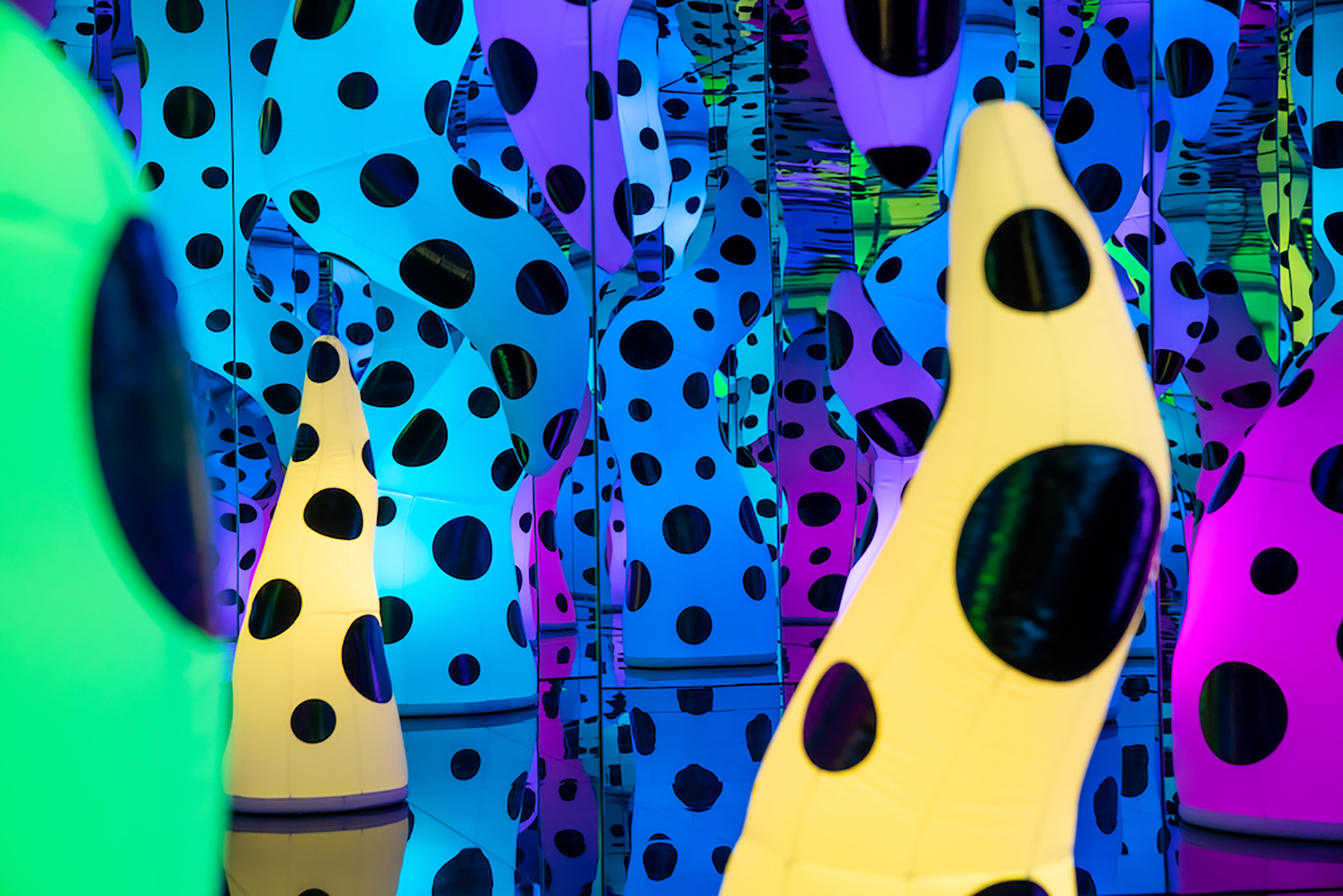 Member Preview Yayoi Kusama LOVE IS CALLING • Pérez Art Museum Miami