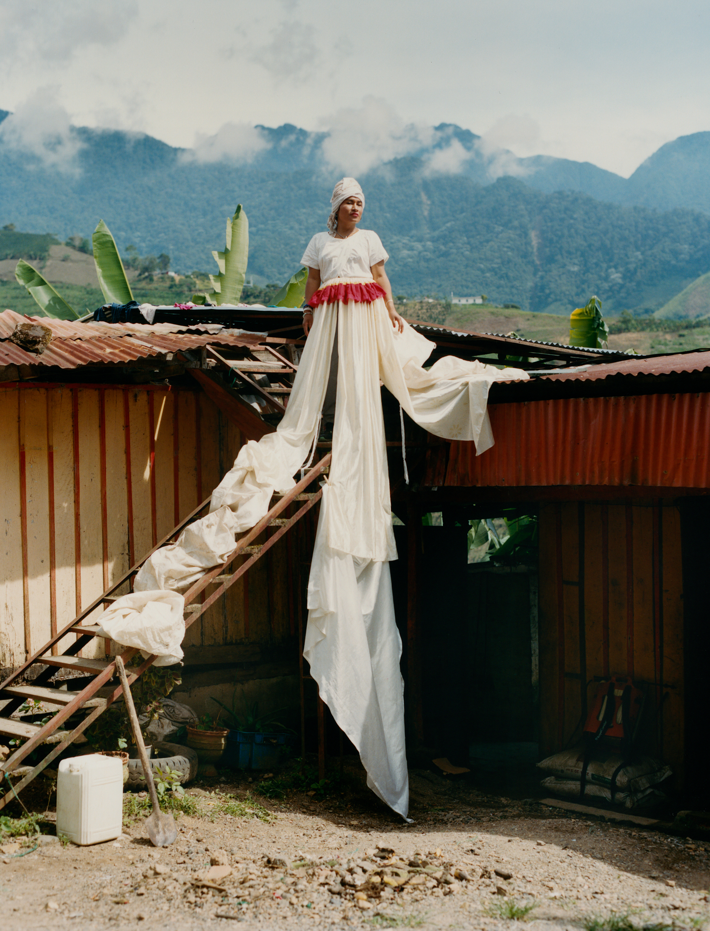 Narratives in Focus: Selections from PAMM's Collection • Pérez Art