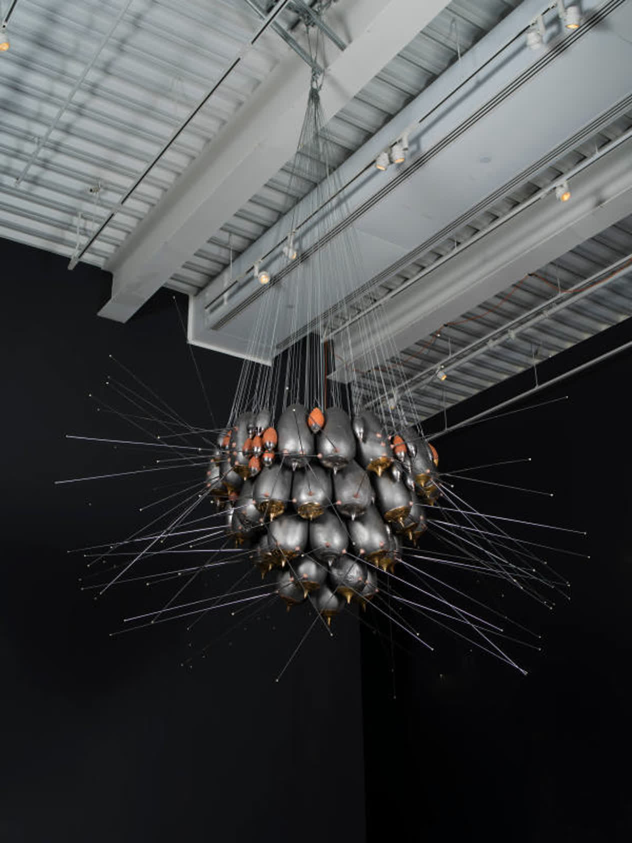 Trophallaxis • Pérez Art Museum Miami