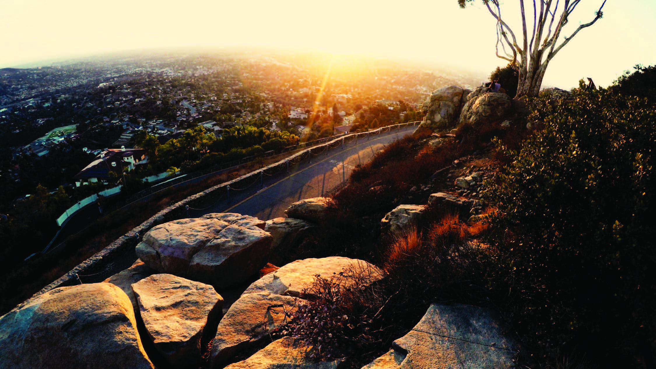 Meiro Koizumi, Battlelands, 2018.